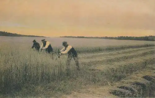 PC71478 alte Postkarte. Arbeiter vor Ort. Händler. Nr. 520