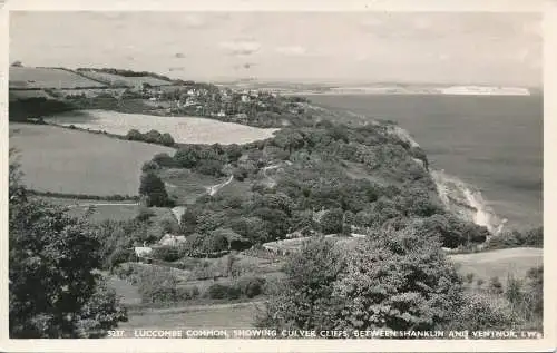 PC70953 Luccombe Common mit Durchgangsklippen. Zwischen Shanklin und Ventnor. I.