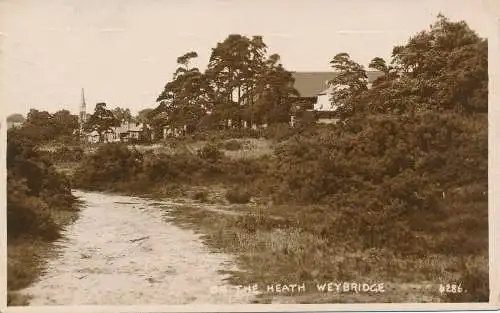 PC71966 Auf der Heide Weybridge. 1929