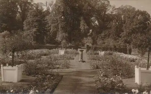 PC71963 alte Postkarte. Garten