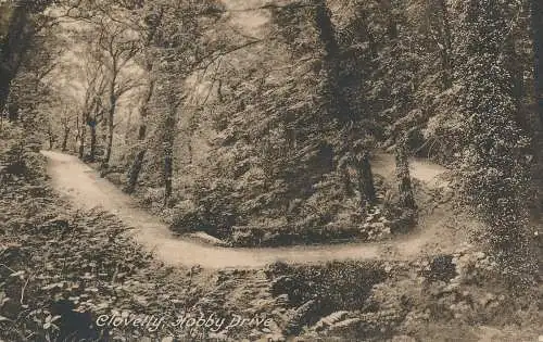 PC70523 Clovelly. Hobby Drive. Frith. 1927