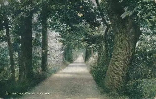 PC72019 Addisons Walk. Oxford. 1905