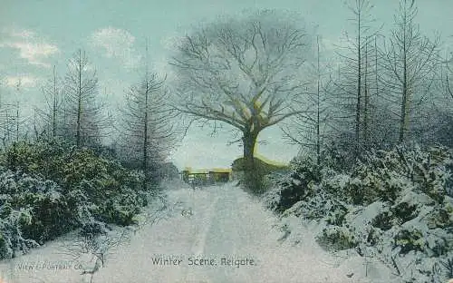 PC68825 Winterszene. Reigate. Ansicht und Porträt