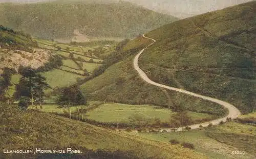 PC70294 Llangollen. Hufeisenpass. Photochrom. Nr. 63256