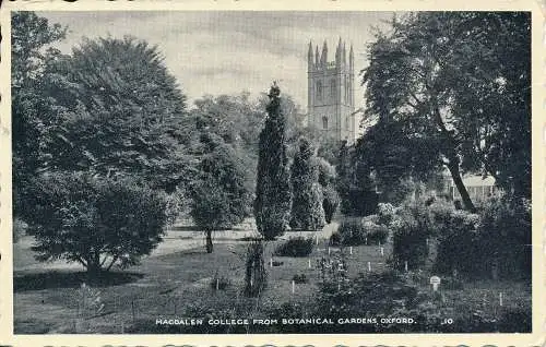 PC68708 Magdalena College aus dem Botanischen Garten. Oxford. 1958