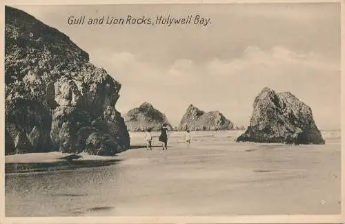 PC68483 Möwe und Löwenfelsen. Holywell Bay. M. und L. National