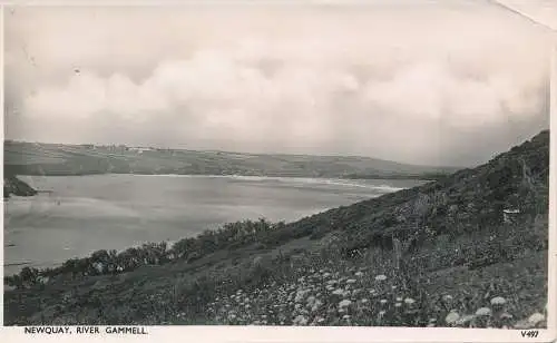 PC73116 Newquay. River Gammell. Photochrom. Nr. V497. 1950