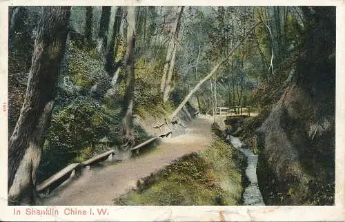 PC70210 in Shanklin China. I.W. Pfau. Autochrom. 1905