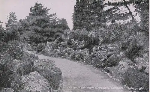 PC73192 The Rockery. Kew Gardens. London. G.D. und D.L. Der Stern