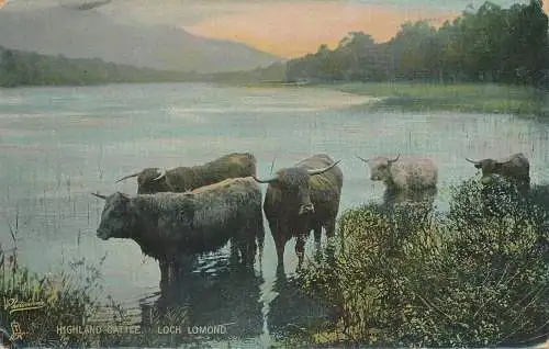 PC72307 Hochlandrinder. Loch Lomond. Tuck. 1909