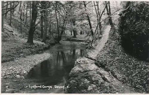 PC73868 Lydford Gorge. Devon