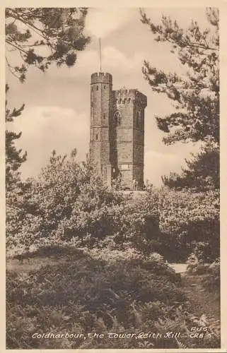 PC72633 Coldharbour. Der Turm. Leith Hill. Frith