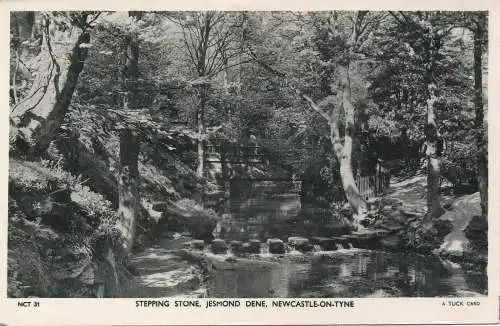 PC73923 Trittstein. Jesmond Dene. Newcastle auf Tyne. Tuck. RP