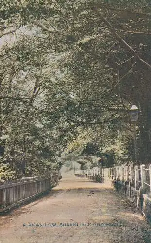 PC73934 I.O. W. Shanklin China Road. Photochrom. Nr. F.31643