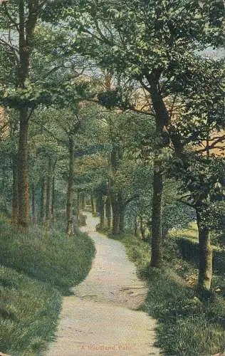 PC72273 Ein Waldweg. Zuverlässig. 1911