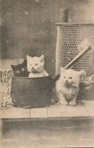 PC72412 Two is Company. Katzen. 1912