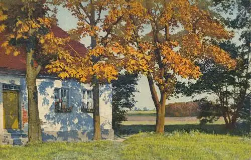 PC73044 alte Postkarte. Haus und Bäume. 1911