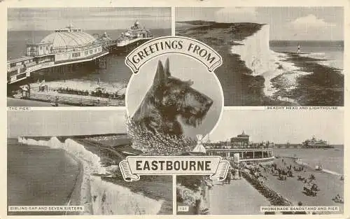 PC73389 Grüße aus Eastbourne. Multi-View. 1954