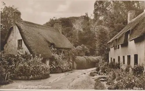 PC73563 Alte Hütten. Dunster. Kingsway. RP. 1927