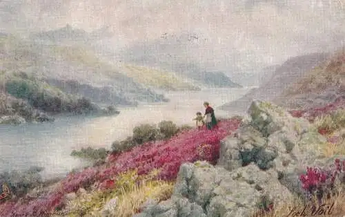 PC72639 Loch Voil. Tuck. Aquarette. Nr. 6273. 1913