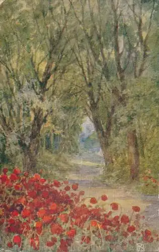 PC72710 Malpostkarte. Mohnblumen im Wald. Clement Scott. Jarrold. 1929