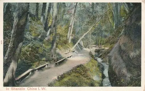 PC74191 in Shanklin China. I.W. Pfau. Autochrom. 1913