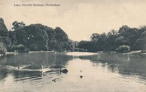 PC74088 Lake. Pittville Gardens. Cheltenham. Stiefel Cash. 1906