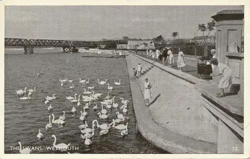 PC74583 Die Schwäne. Weymouth. 1953