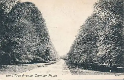 PC74563 Lime Tree Avenue. Kletterhaus. Valentinstag. 1908