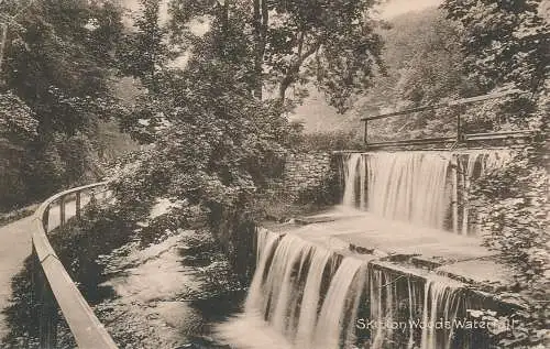 PC74564 Skipton Woods Wasserfall. Frith. 1922