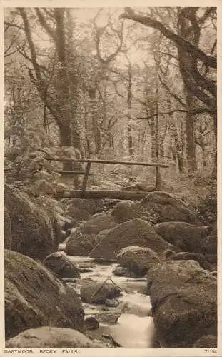 PC75212 Dartmoor. Becky Falls. Photochrom. Nr. 71154