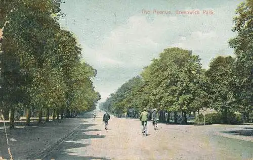 PC75308 The Avenue. Greenwich Park. 1908