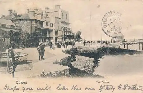 PC75275 Kühe. Die Parade. Pfau. 1903