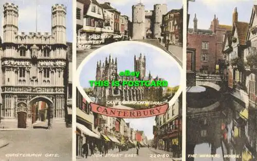 R601515 Canterbury. 220180. Colour Kragen. Valentinstagsserie. Multi View