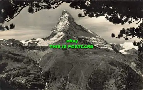 R601527 Blick aus dem Arvenwald der Riffelalp ob Zermatt aufs Matterhorn. 295. Oder