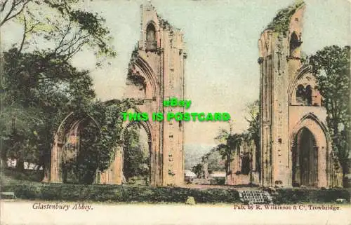 R601768 Glastonbury Abbey. R. Wilkinson