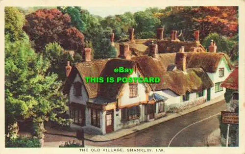 R602106 Altes Dorf. Shanklin. I.W. Dixon