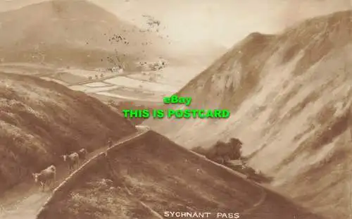 R601874 Synant Pass. 1910