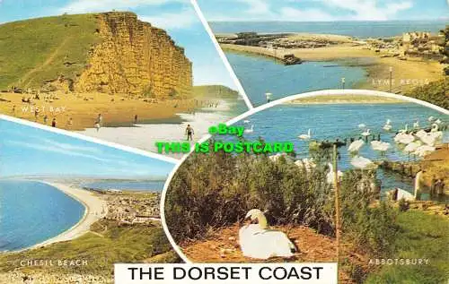 R602642 Dorset Coast. Lachs. Multi View