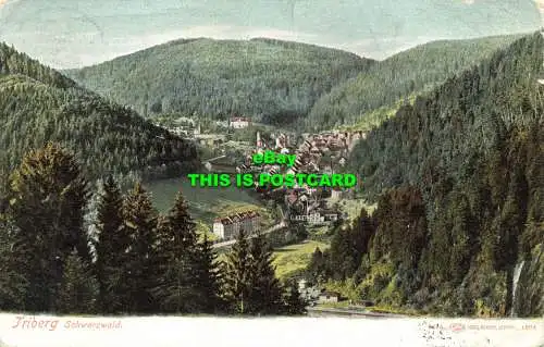 R602873 Triberg. Schwarzwald. Louis Glaser. 1904. 1905