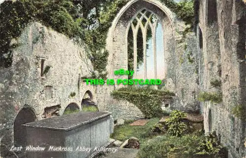 R602926 East Window Muckross Abbey Killarney. W. Lawrence. 1907. Dublin