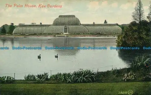 R029784 Das Palmenhaus. Kew Gardens. Valentinstag