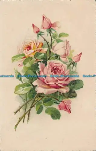 R029792 alte Postkarte. Rosa Rosen