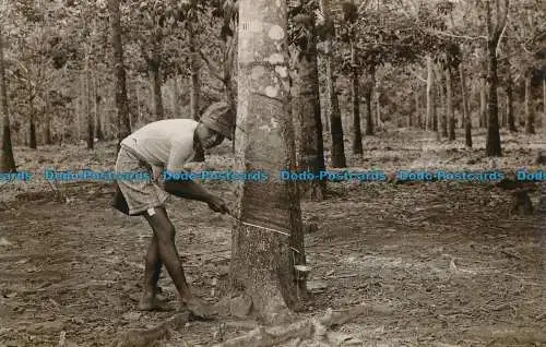 R030617 Alte Postkarte. Junge im Wald