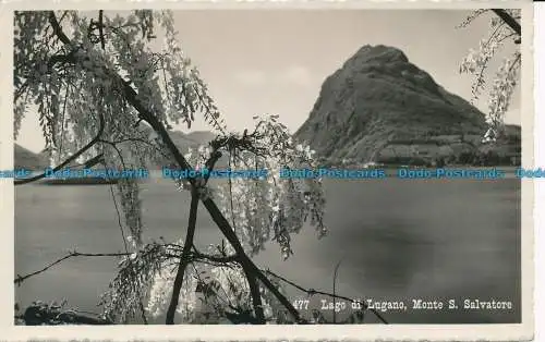 R033487 Luganersee. Monte S. Salvatore. Alfredo Finzi