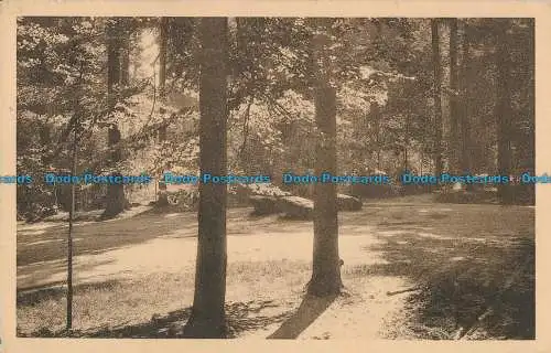 R030882 Tervueren. Der Park. Ern. Thill. Nels. 1950