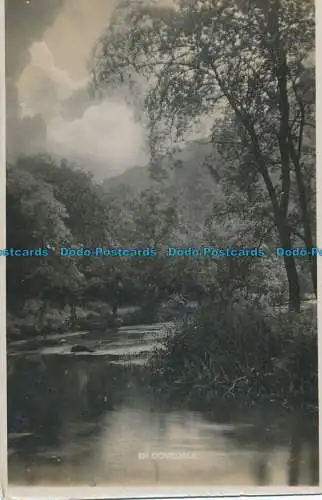 R032711 In Dovedale