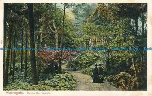 R032731 Harrogate. Harlow Car Woods. Pfau. Autochrom