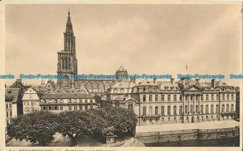 R033871 Straßburg. Schloss und Münster. Braun