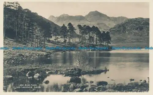 R032754 Blea Tarn und Langdale Hechte. Abraham. RP